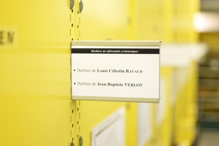A herbarium of Abbé Ravaud online