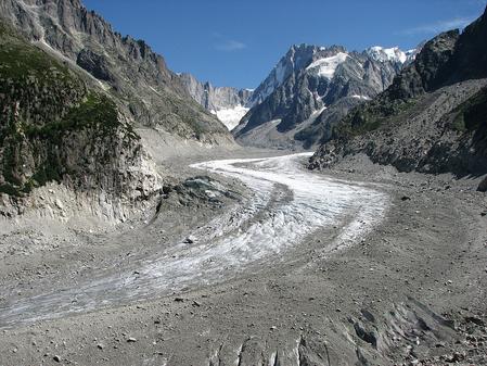 A herbarium of the Mer de Glace