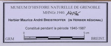 Computerization of Regional herbarium